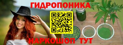 индика Пушкино