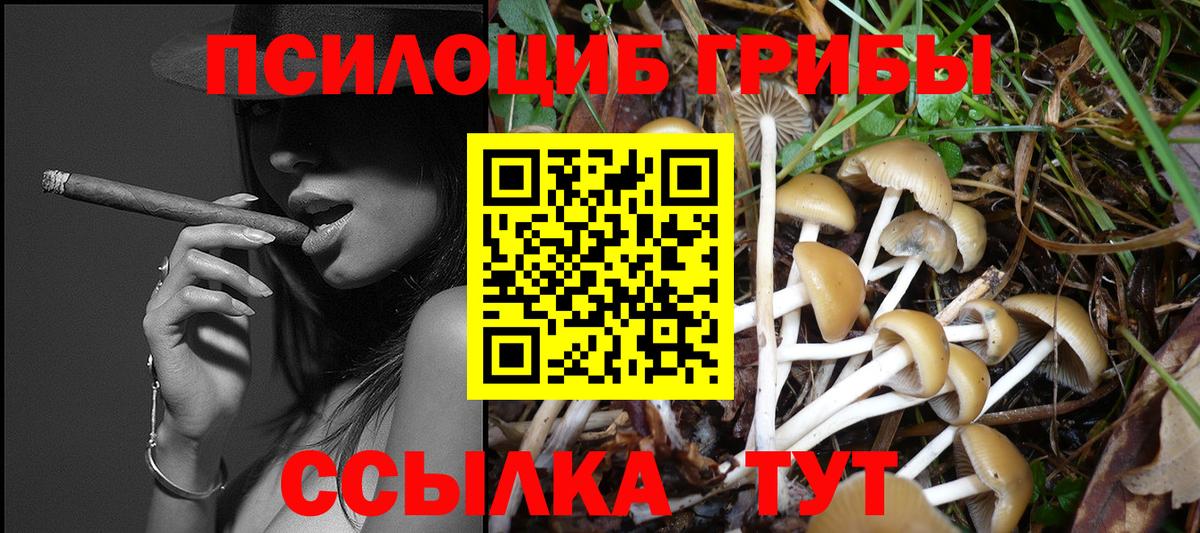 Галлюциногенные грибы Psilocybe Скопин