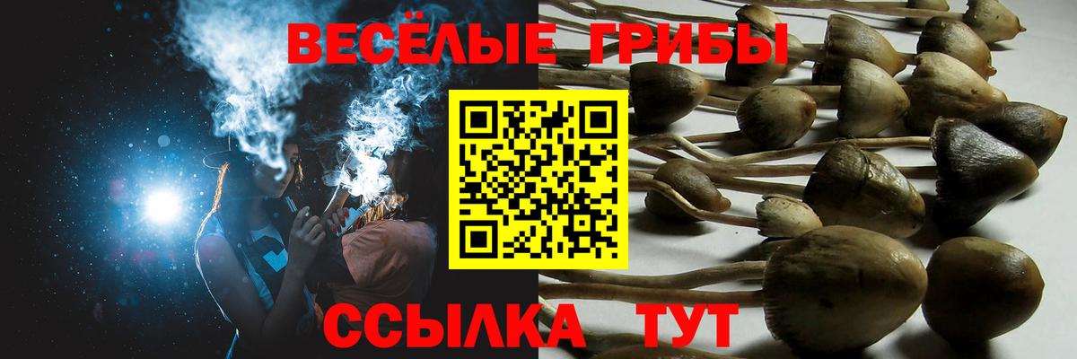 Галлюциногенные грибы мухоморы  Псилоцибиновые грибы Cubensis  Вход с VPN  Скопин 